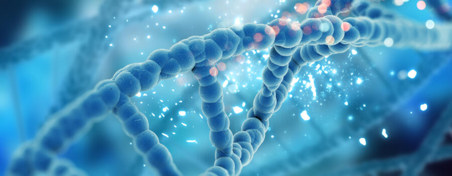 dna